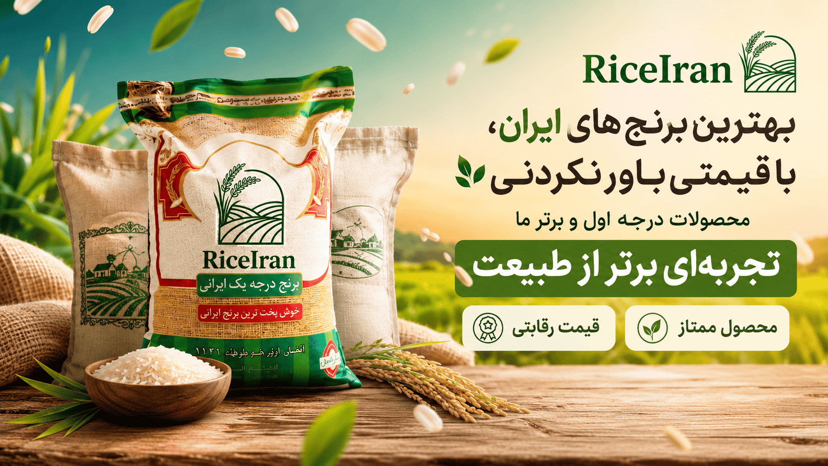 رایس ایران