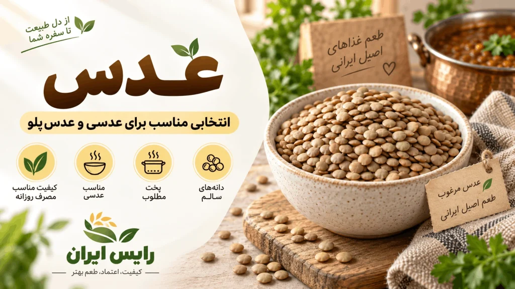 خرید عدس