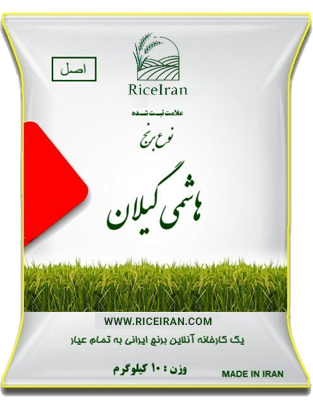 hashemi-gilan
