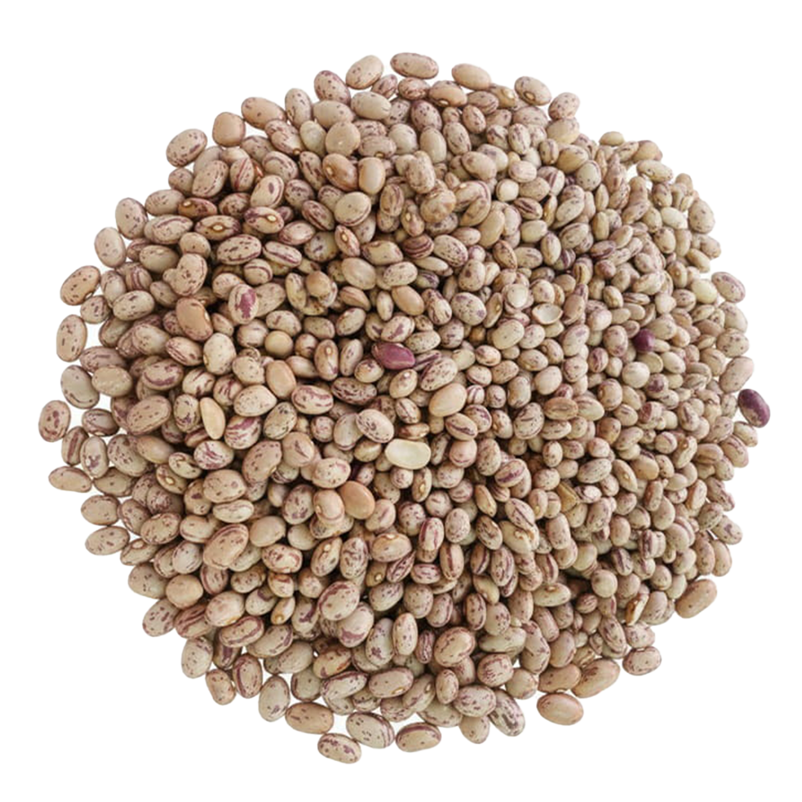 لوبیا چیتی