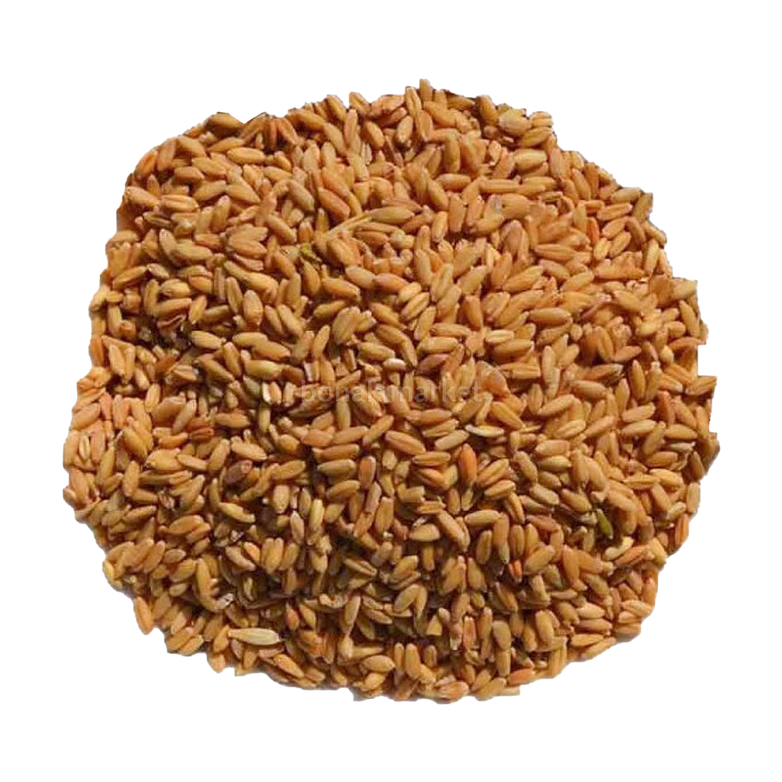 گندم مرغی